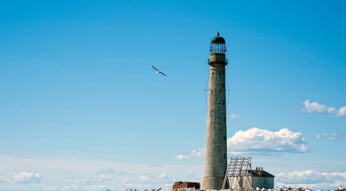 Il gabbiano vola vicino alla torre di pietra del faro di Boon Island.