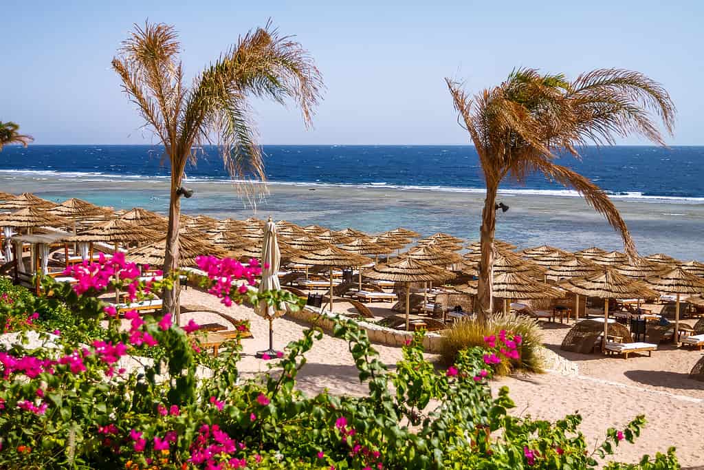 Sharm El Sheikh, Egitto