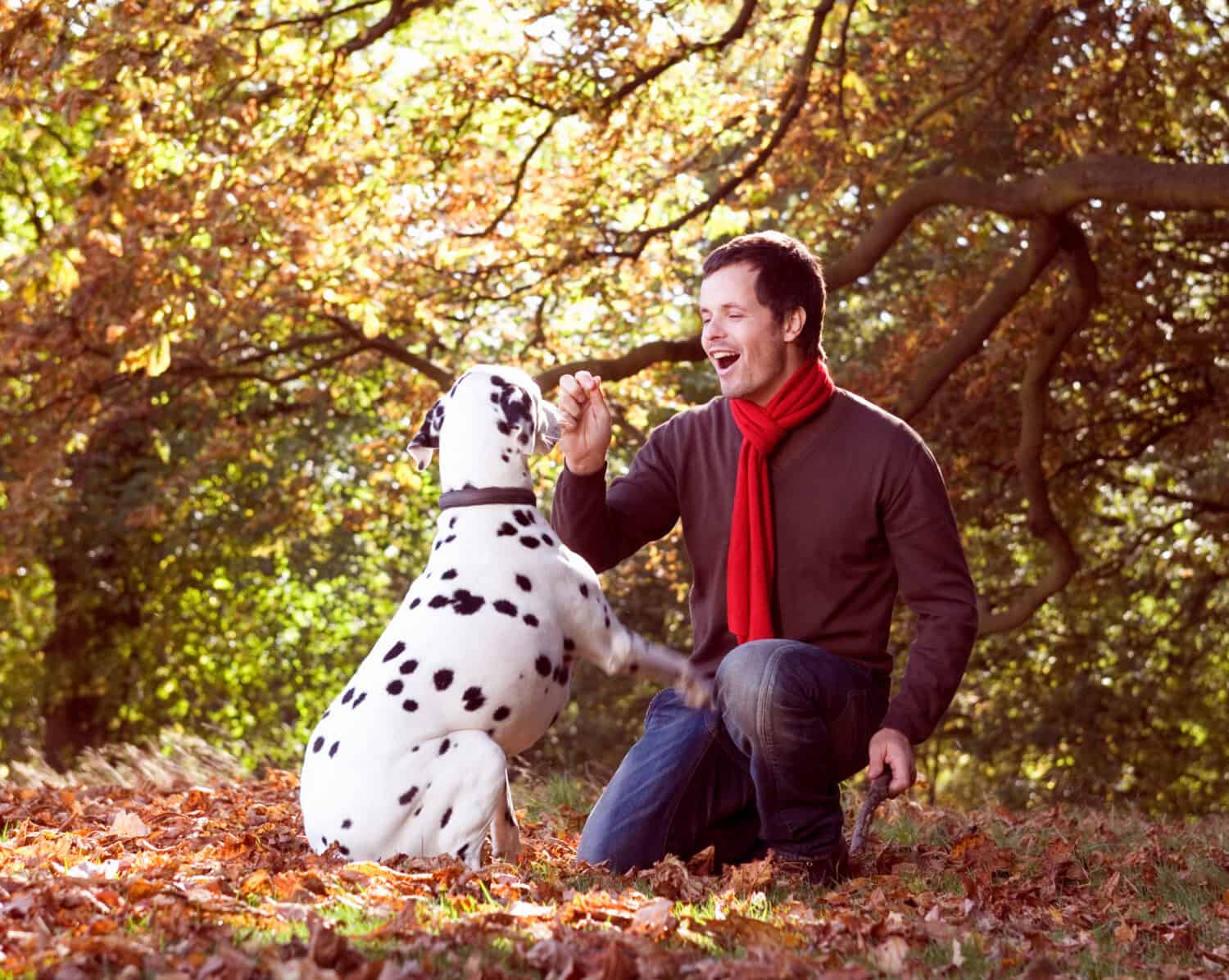 Uomo che gioca con il cane dalmata sulla passeggiata nei boschi autunnali