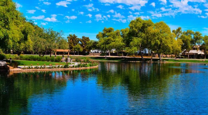 Bellissimo stagno e paesaggi al Power Ranch di Gilbert, AZ