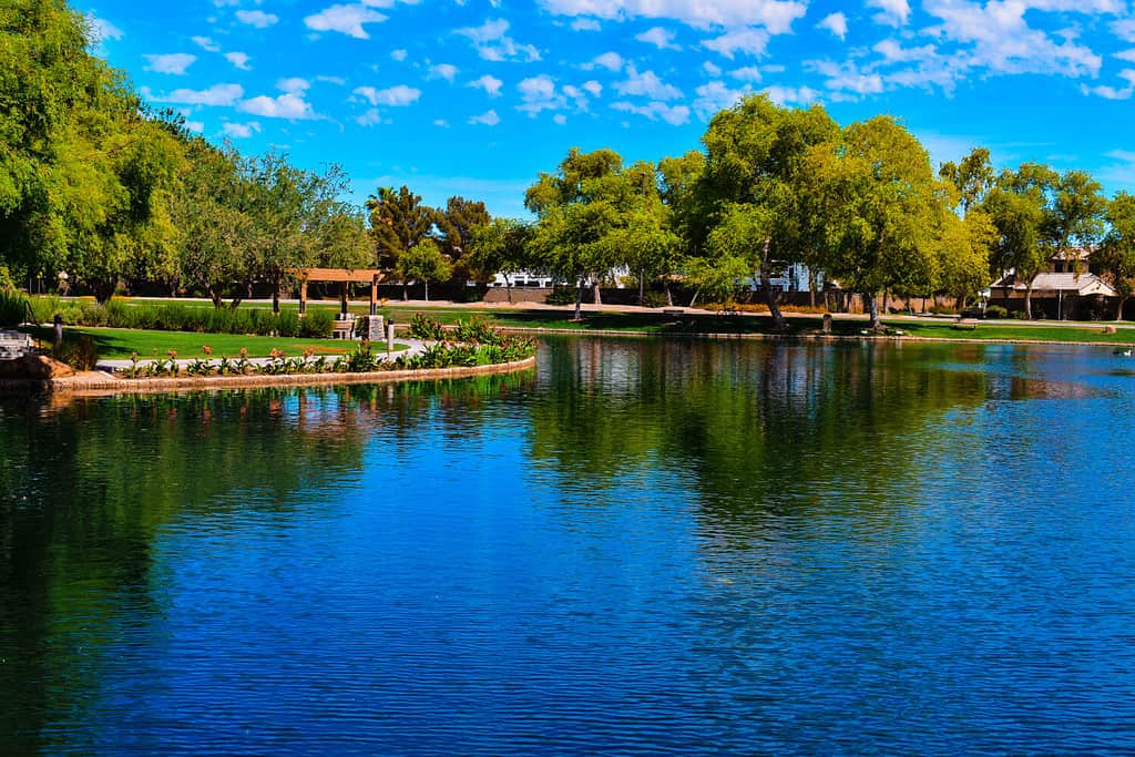 Bellissimo laghetto e paesaggi al Power Ranch a Gilbert, Arizona