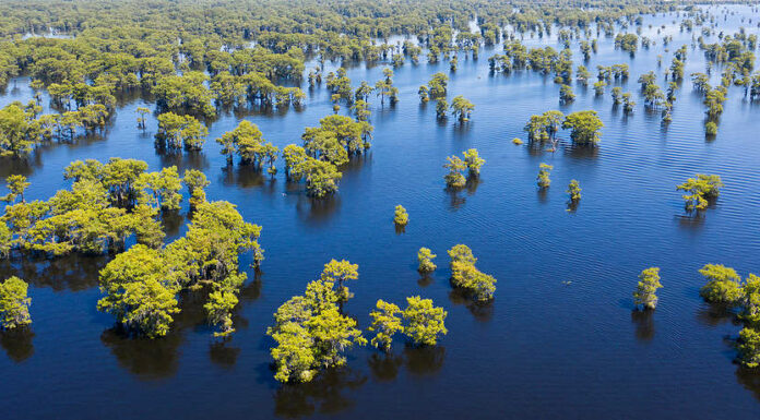 Quanto è profondo il fiume Atchafalaya?
