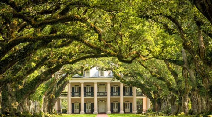 Piantagione di Oak Alley, Louisiana