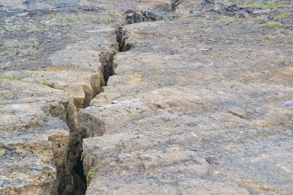Una faglia geologica è una frattura nelle rocce della crosta terrestre. 