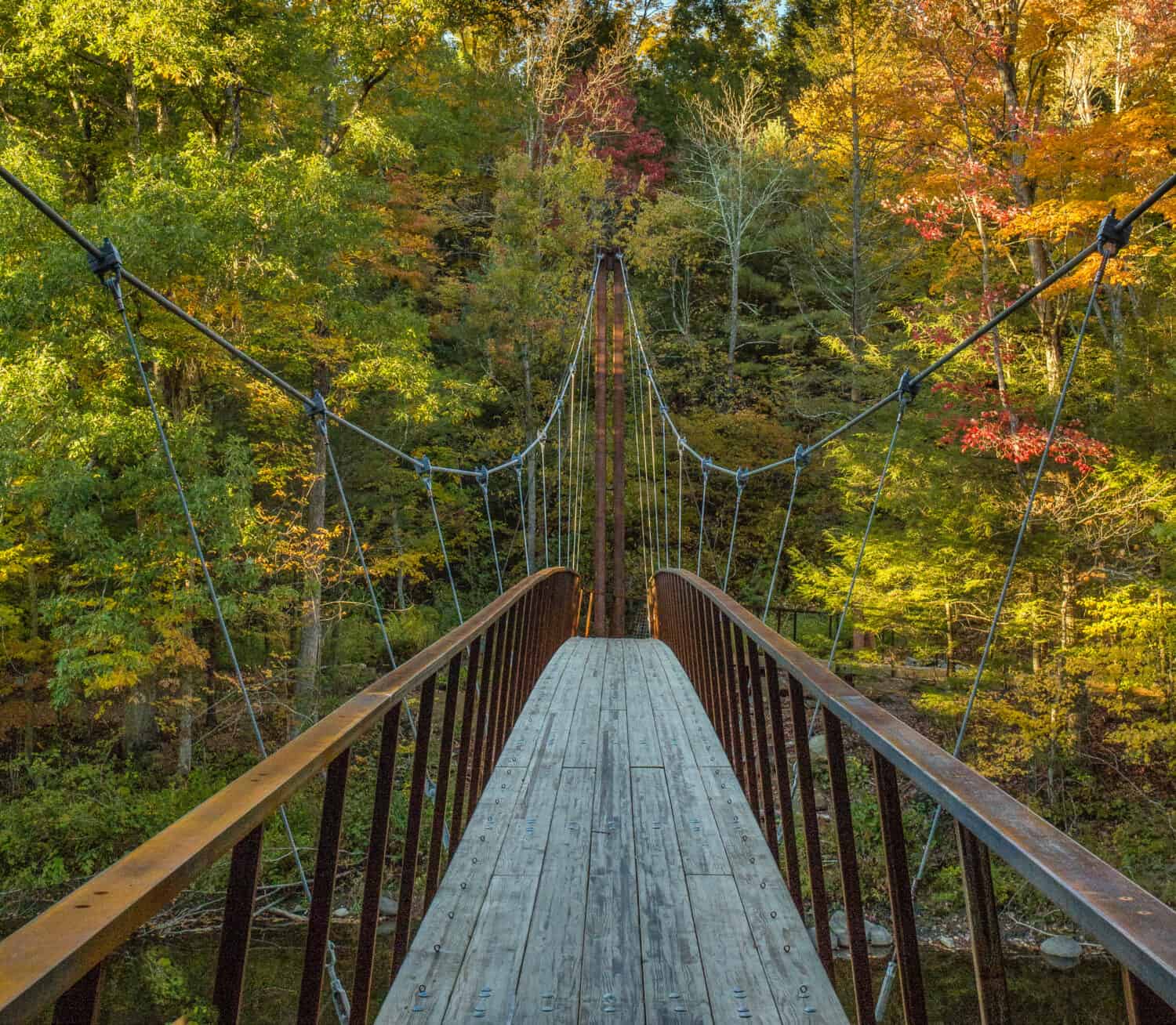 Passerella Henry David Thoreau a Washington CT