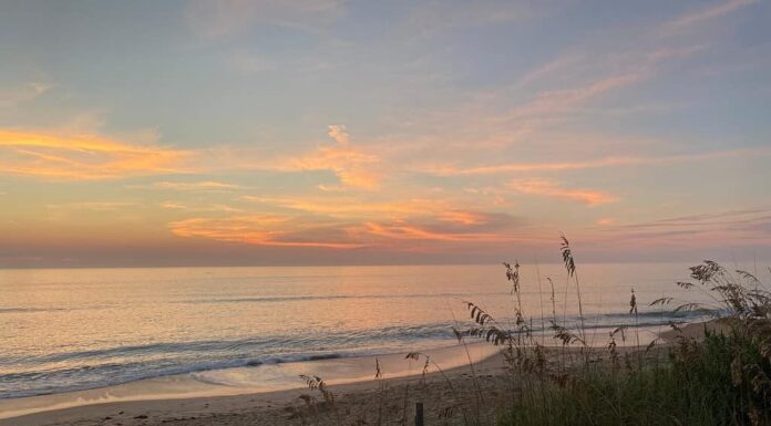 Alba della spiaggia della Carolina del Nord dell'anatra