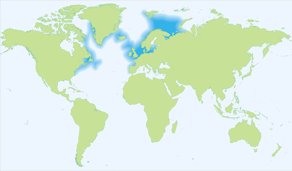 Mappa dell'areale del merluzzo dell'Atlantico