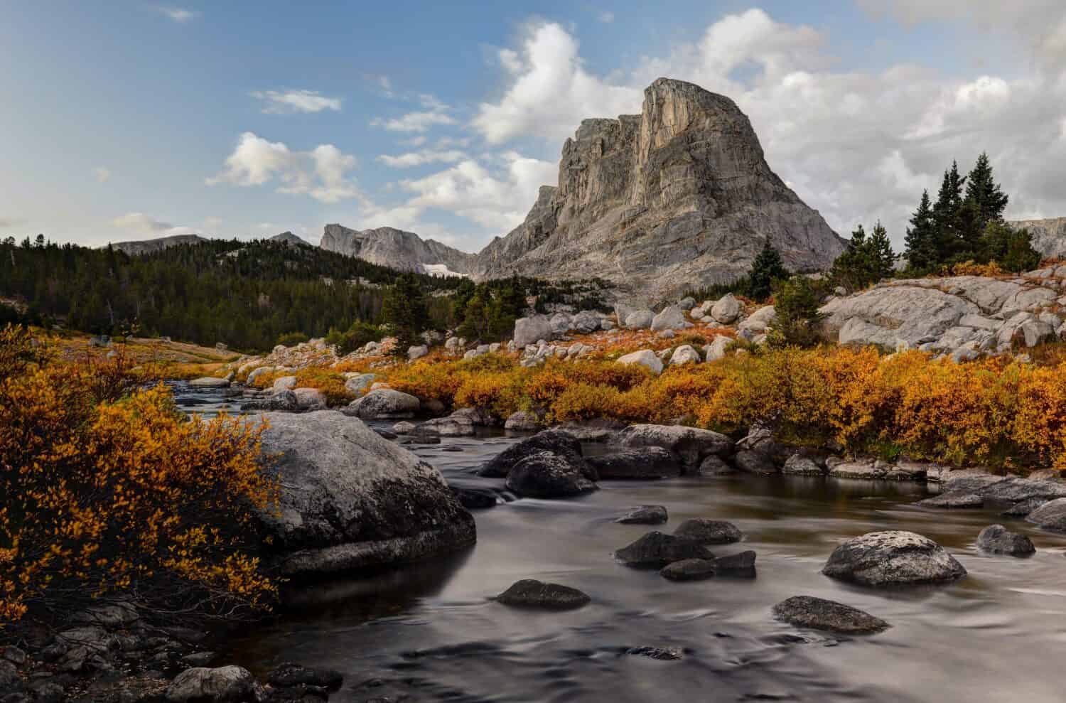 Little Wind River e Buffalo Head Peak." Foresta nazionale di Bridger-Teton, Wyoming.