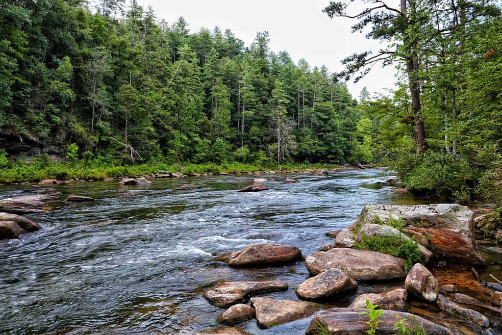 Il fiume Chattooga scende rapidamente dalla provincia geologica di Blue Ridge e forma la maggior parte del confine nord-est della Georgia tra la contea di Rabun e la contea di Oconee della Carolina del Sud. 