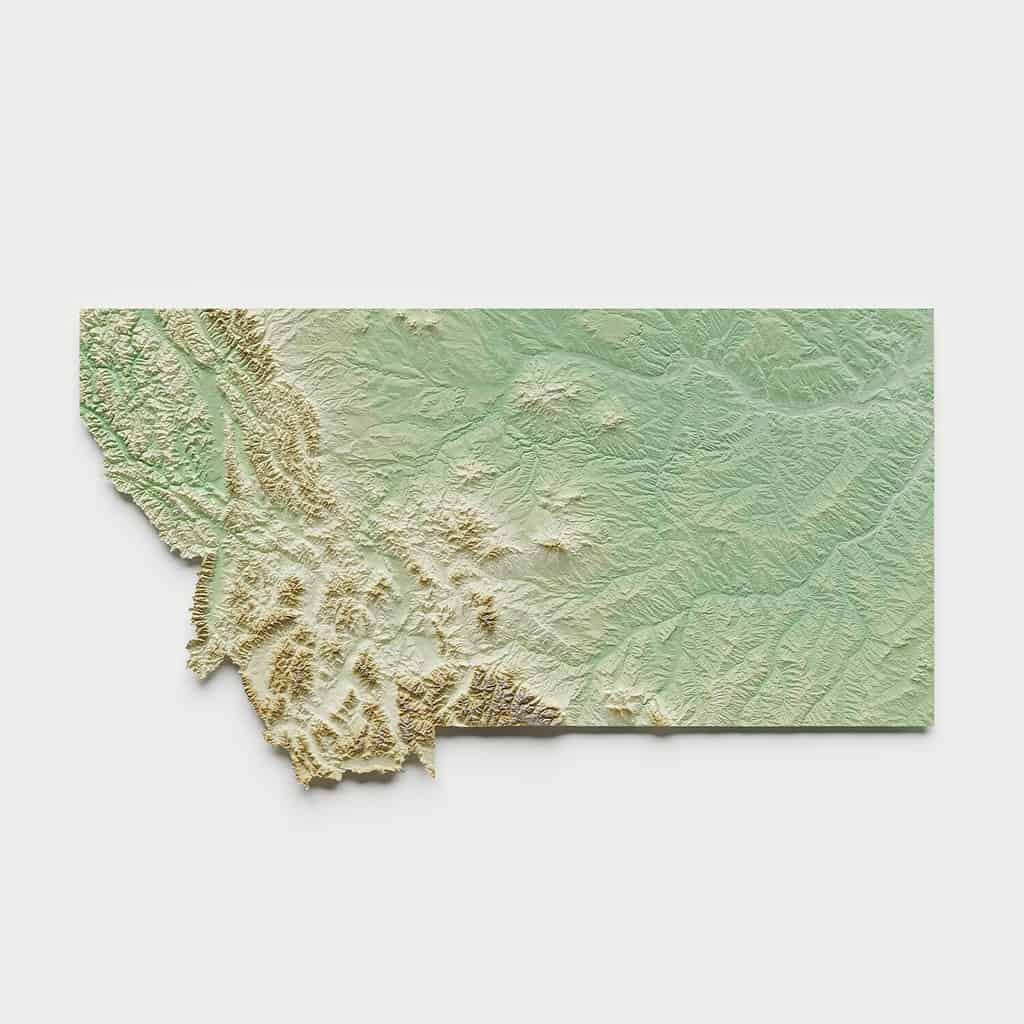 Mappa di rilievo topografico del Montana - rendering 3D