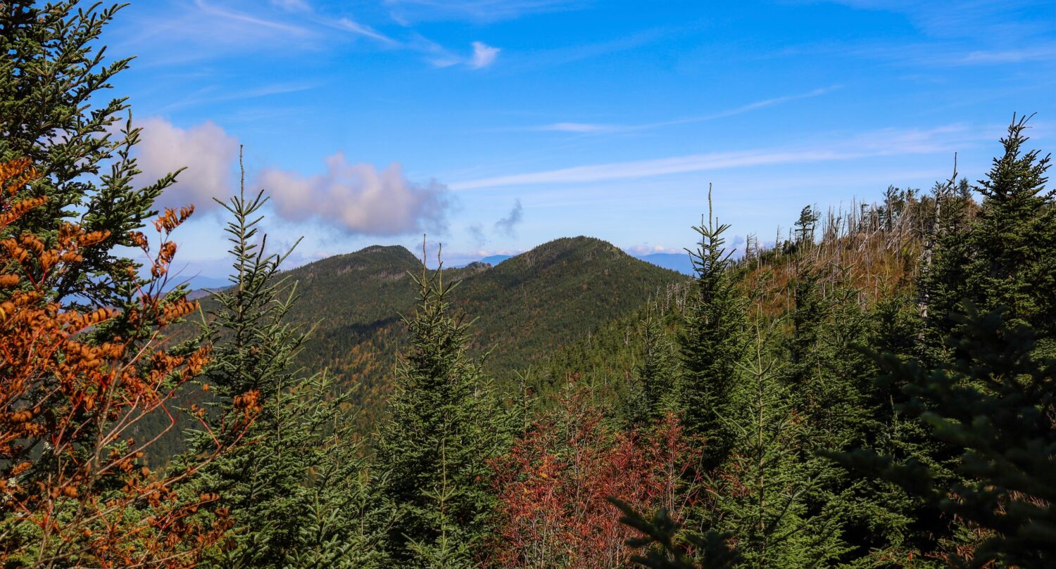 Vertice di Cattail Peak e Balsam Cone nei monti Appalachi