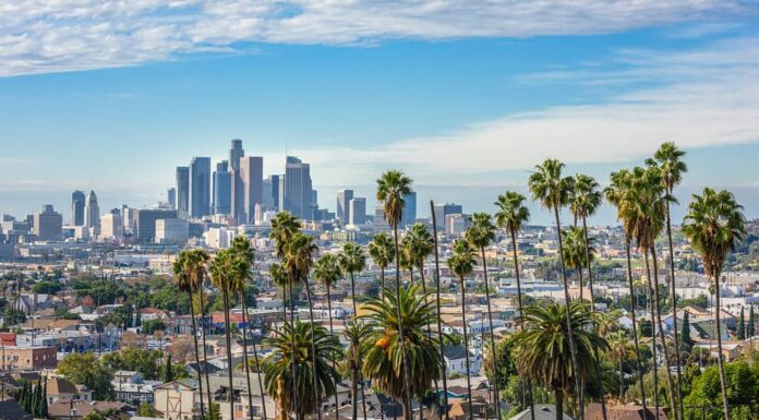 Giornata nuvolosa dello skyline del centro di Los Angeles e delle palme in primo piano