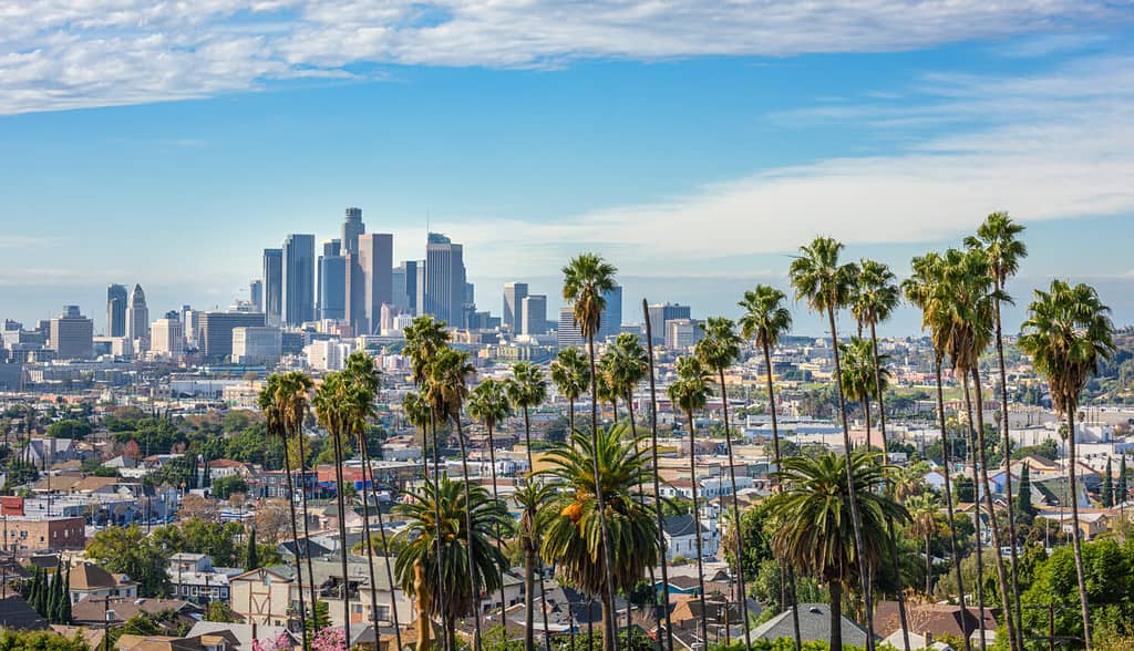 Giornata nuvolosa dello skyline del centro di Los Angeles e delle palme in primo piano