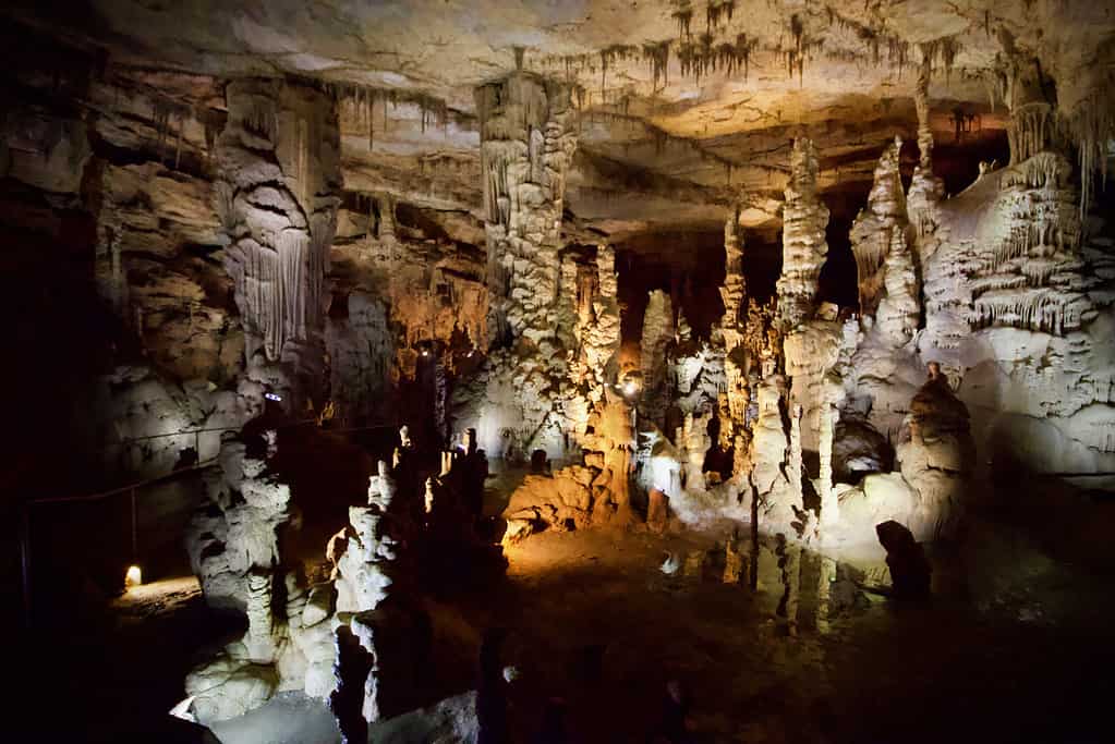 l'interno delle Caverne della cattedrale a partire dal 2019