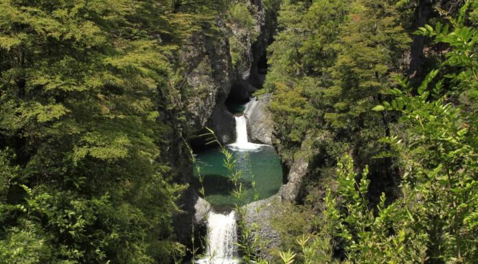 Parque nacional siete taza Cile