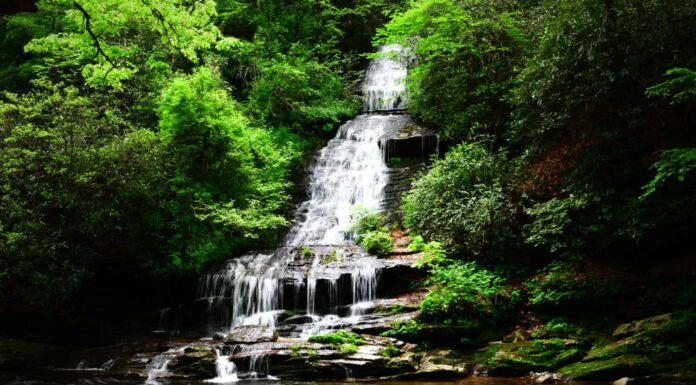 Sentieri delle cascate di Deep Creek, Bryson City, Carolina del Nord