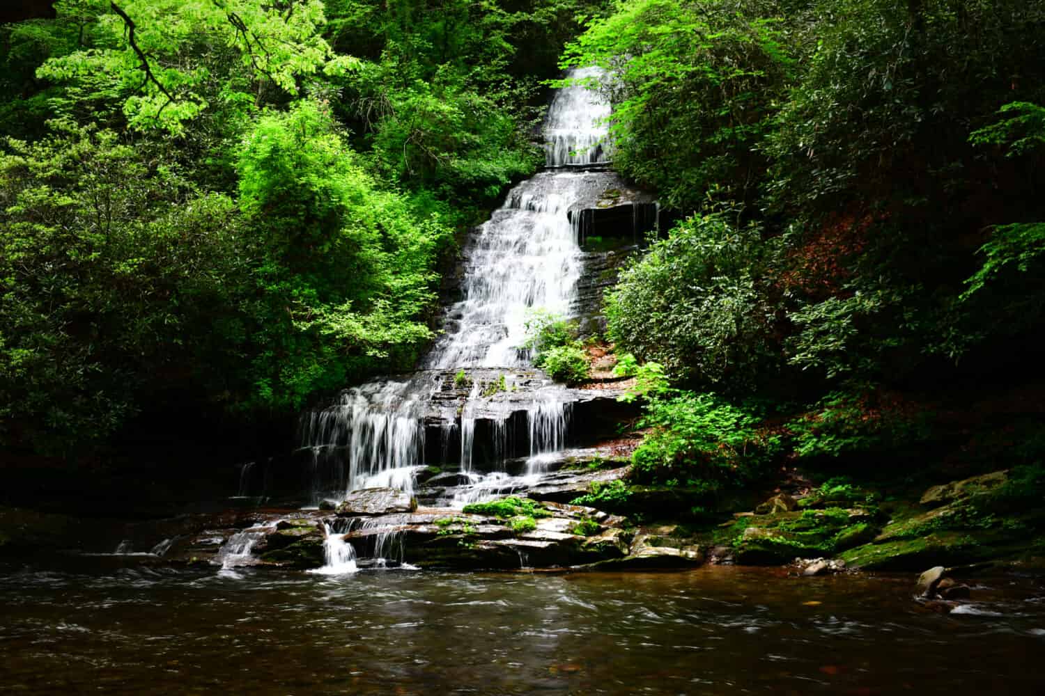 Sentieri delle cascate di Deep Creek, Bryson City, Carolina del Nord