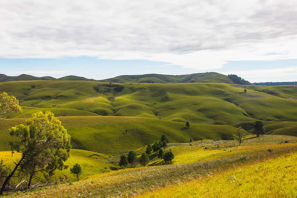 Parco Nazionale Kitulo