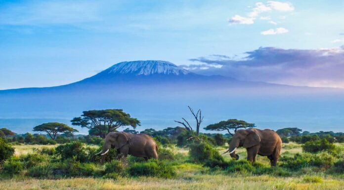 Monte Kilimangiaro, Tanzania