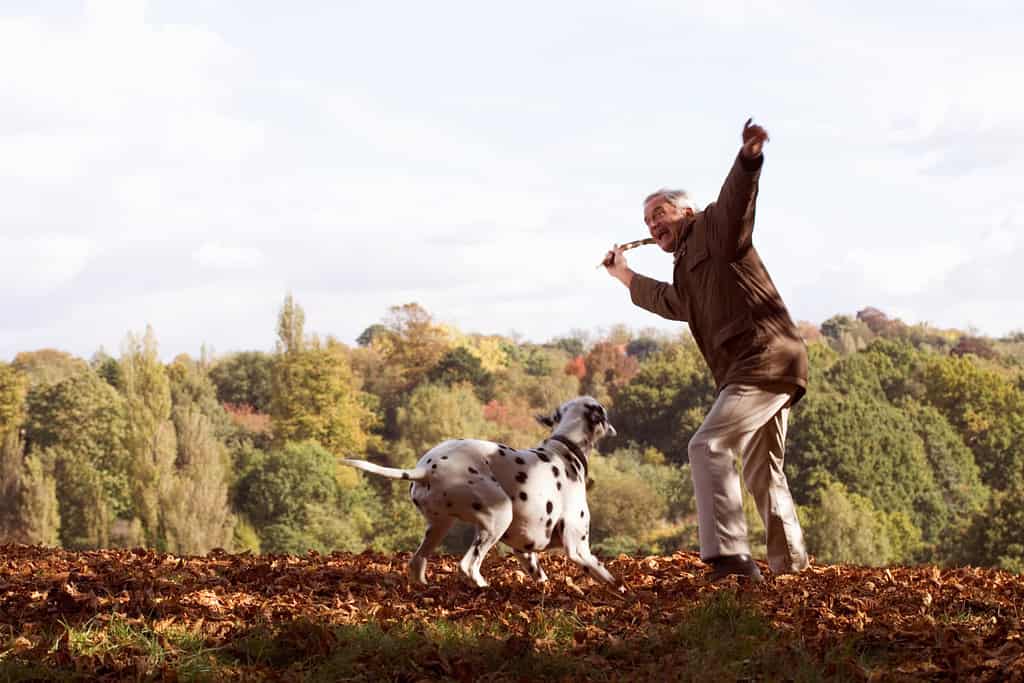 Un uomo anziano che gioca con il suo cane tra le foglie d'autunno