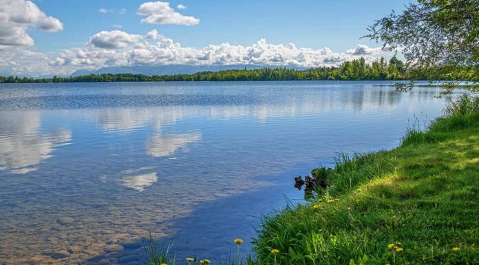 I migliori spot per nuotare in Alaska: laghi, fiumi e altro

