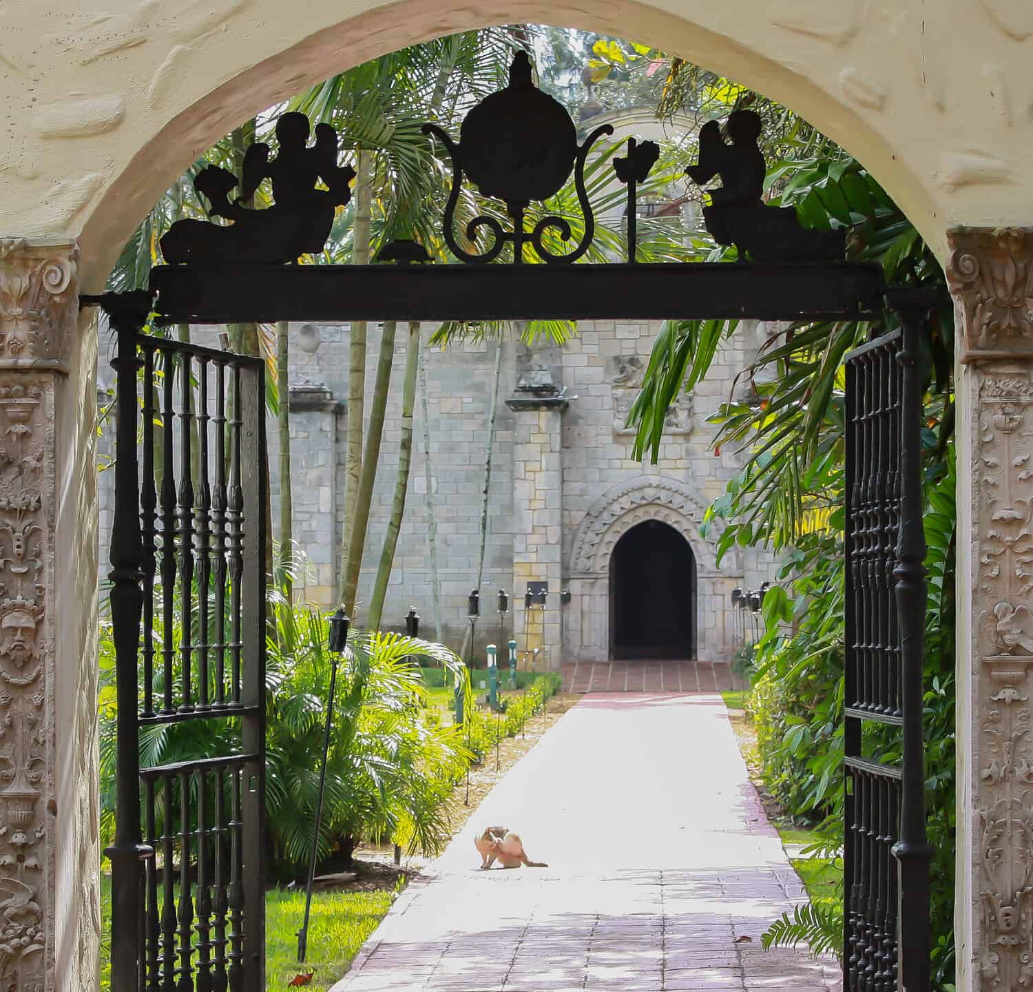 Un gatto che si rilassa al sole sul lato di un cancello della chiesa di San Bernardo di Chiaravalle in Florida.