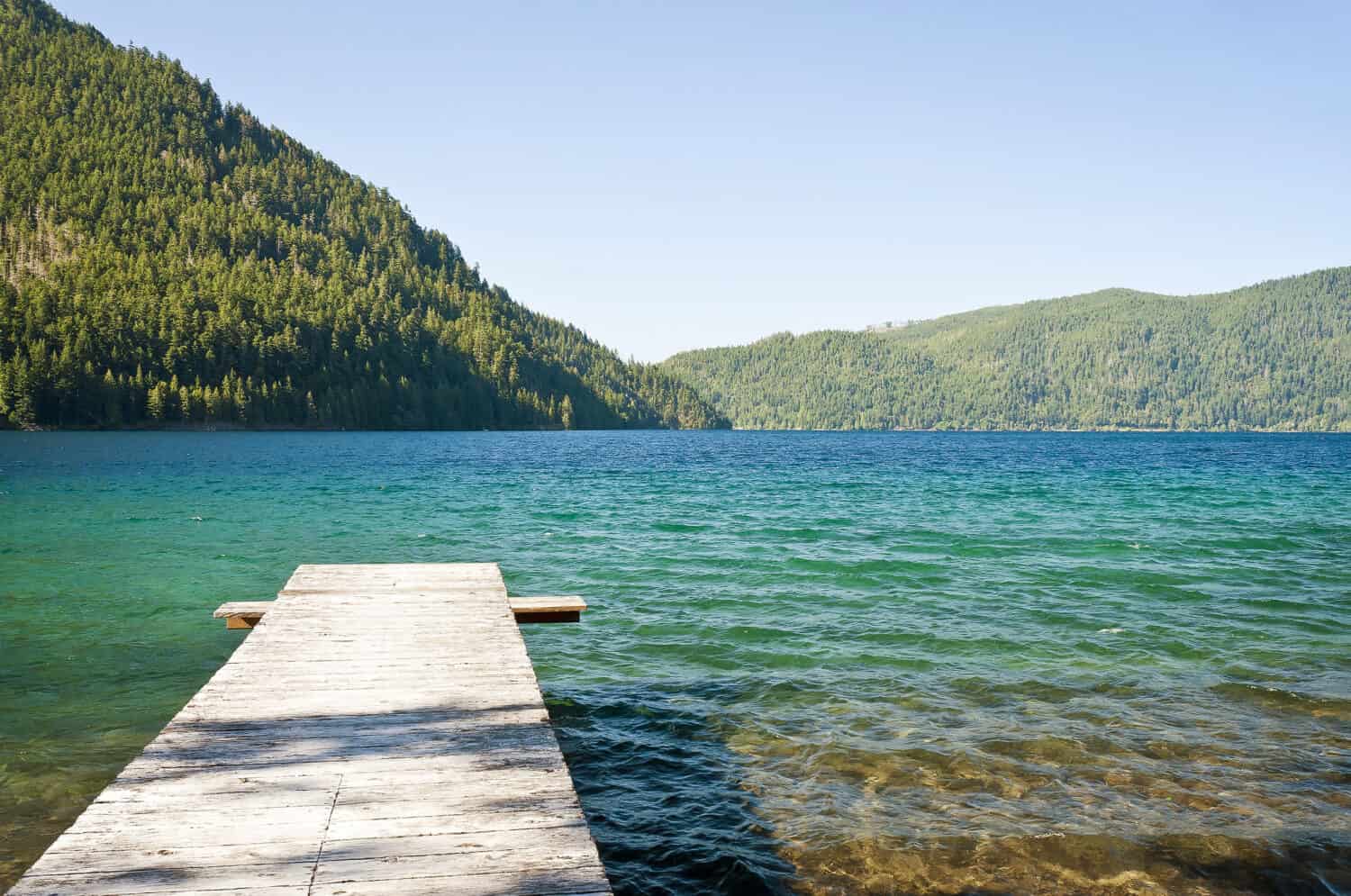 Una foto pittoresca del lago Quinault. 