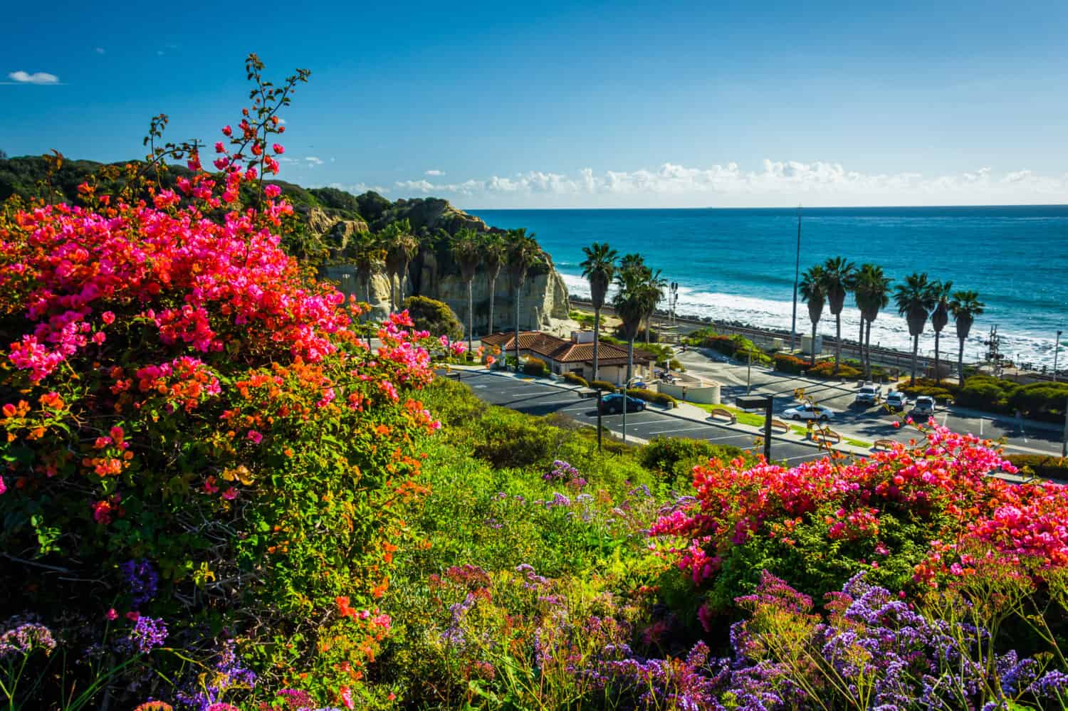Fiori colorati e vista di San Clemente State Beach da Calafia Park, a San Clemente, California.
