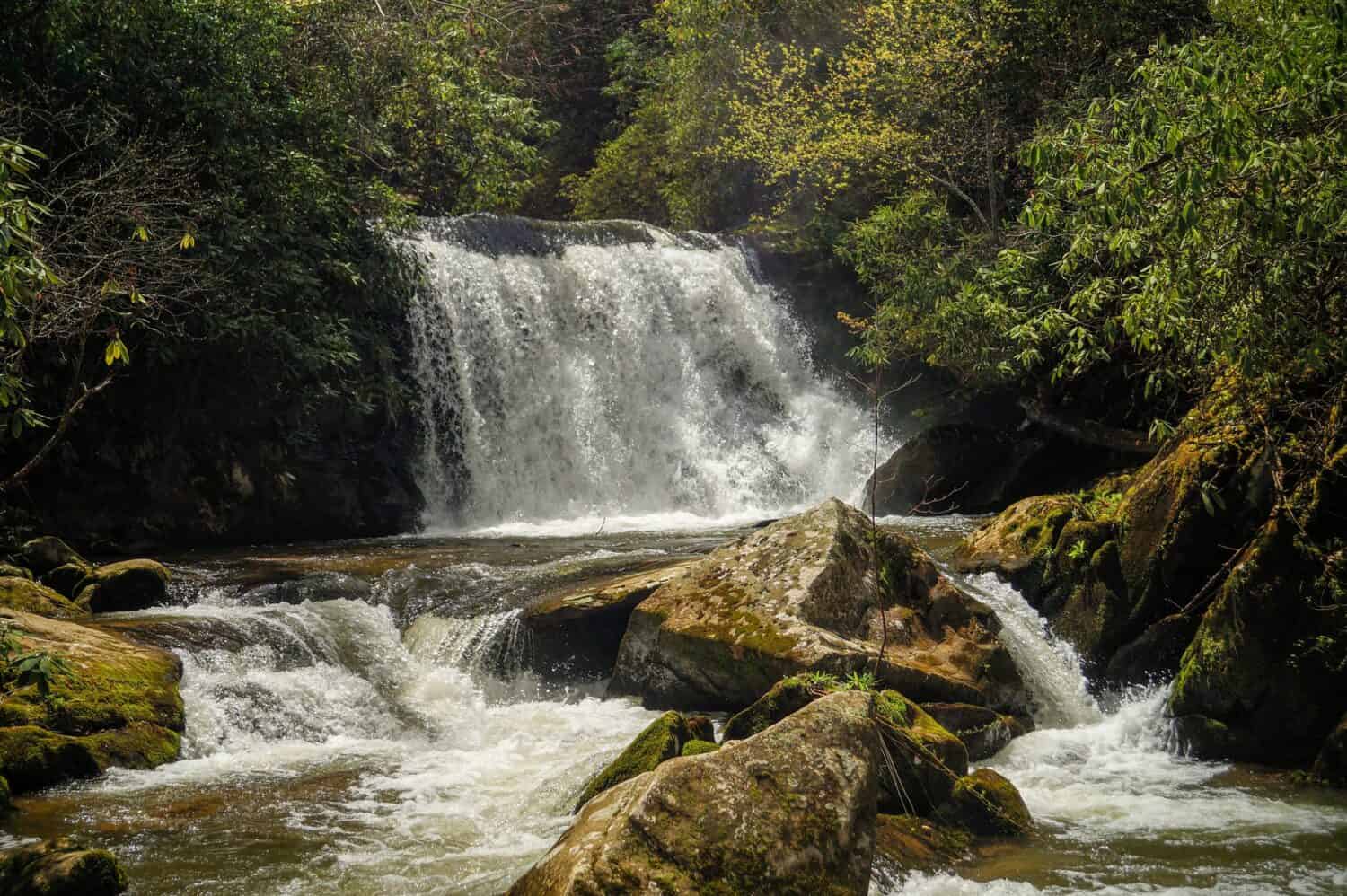 Yellow Creek Falls a SpringRobbinsville, nella Carolina del Nord