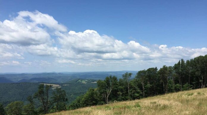 La spina dorsale della montagna West Virginia