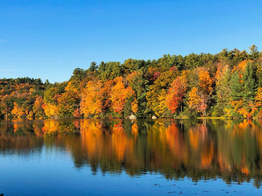 Burr pond state park bella vista sul lago all'inizio dell'autunno con la riflessione di alberi colorati nel New England Connecticut Stati Uniti in una giornata di sole.