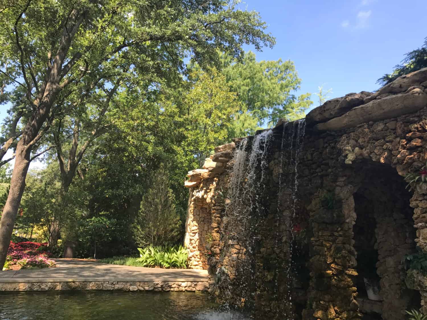 L'arboreto e il giardino botanico di Dallas.  Dallas, Texas. 