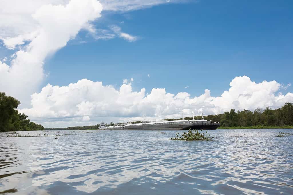 Chiatta sul fiume Atchafalaya in Louisiana