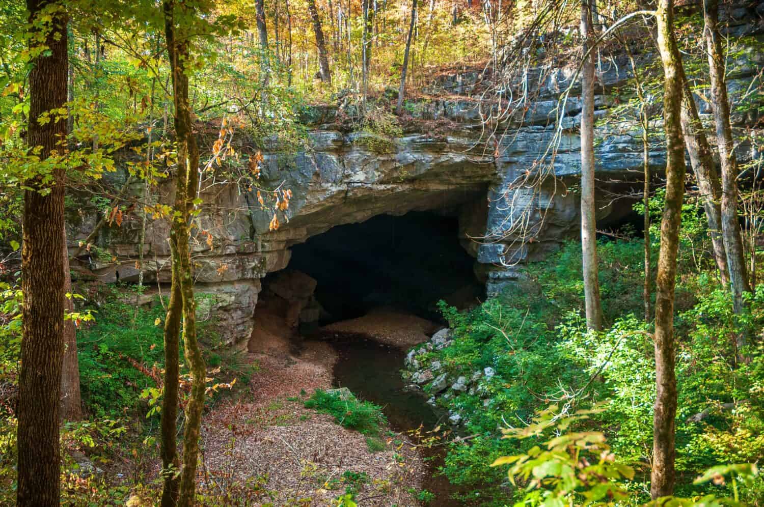 Un piccolo ruscello proveniente dall'interno di una grotta al Russell Cave National Monument