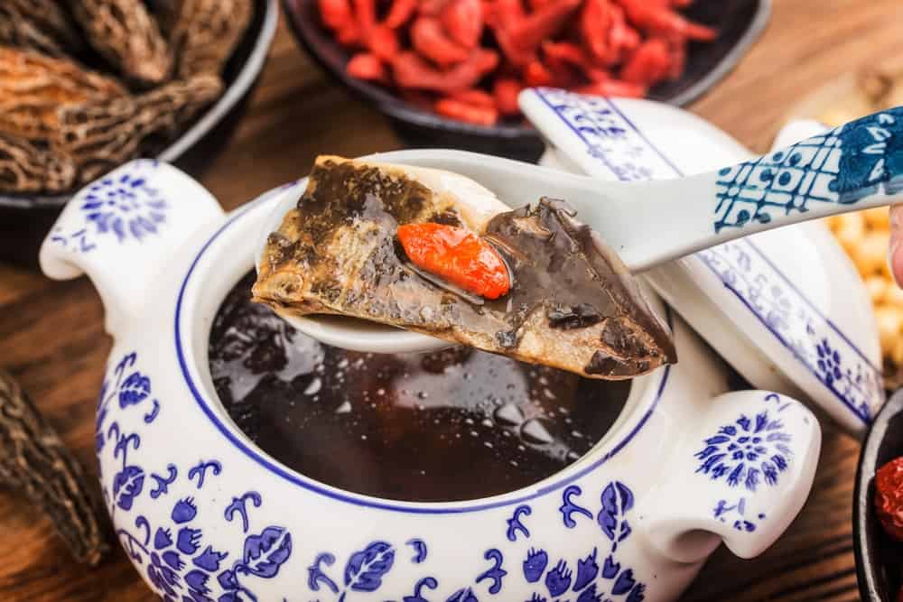 Cucina cinese: zuppa di spugnole e stufato di tartaruga