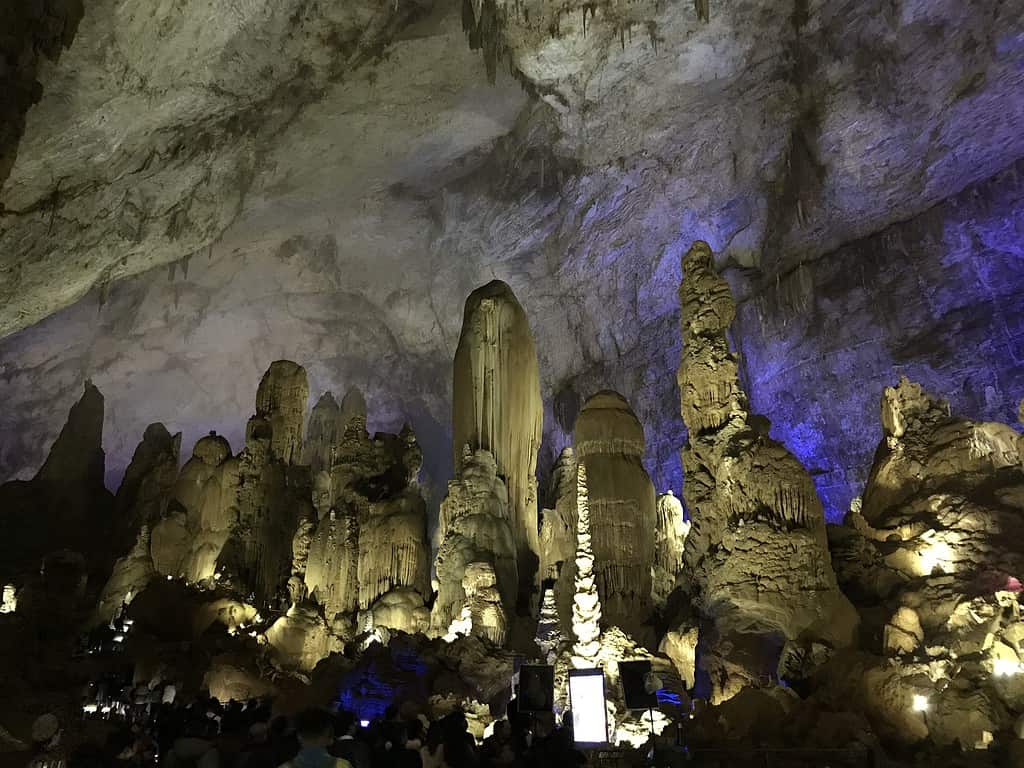 L'albero della pioggia d'argento nella grotta di Zhijin, in Cina