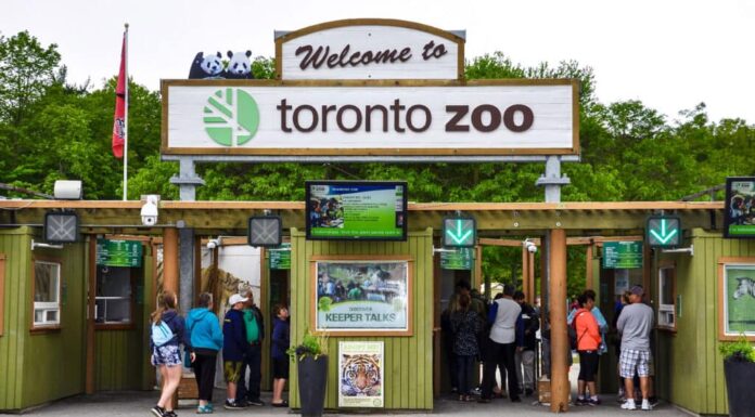 Zoo di Toronto