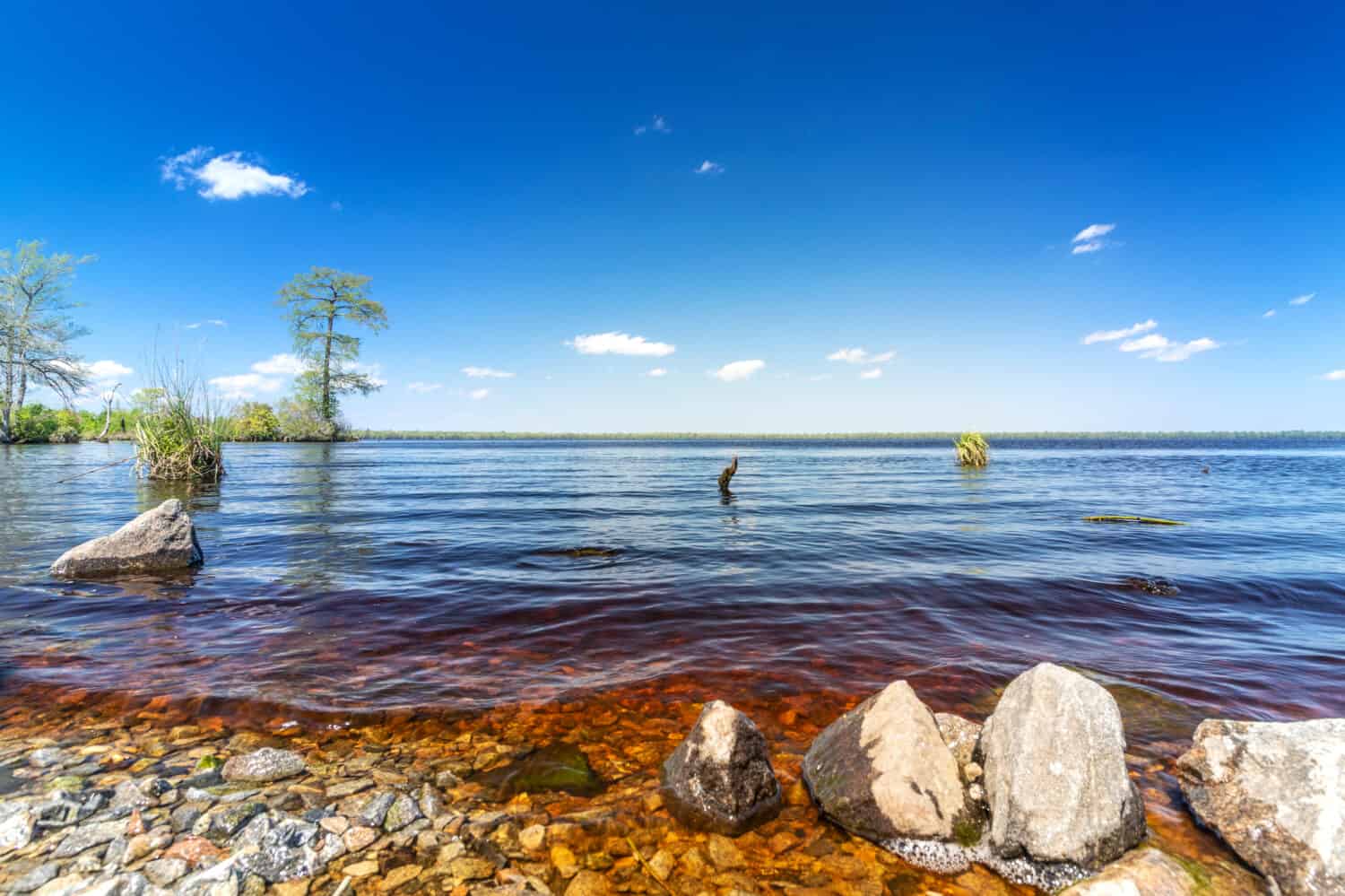 Vista del lago Drummond della Virginia in una giornata di sole