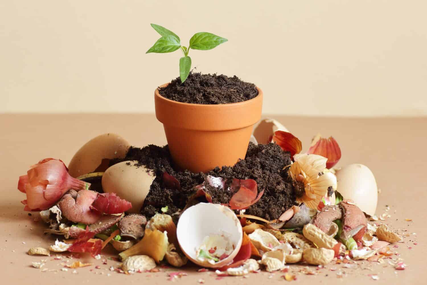 Rifiuti organici, cumulo di biocompost con materia organica decomposta in cima, primo piano, zero rifiuti, eco-compatibile, concetto di riciclaggio dei rifiuti