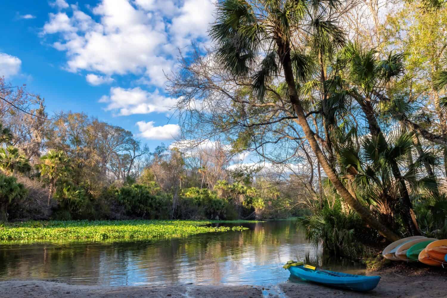 Canoe nel lago circondato da alberi tropicali al tramonto nel Wekiwa Springs State Park, Florida