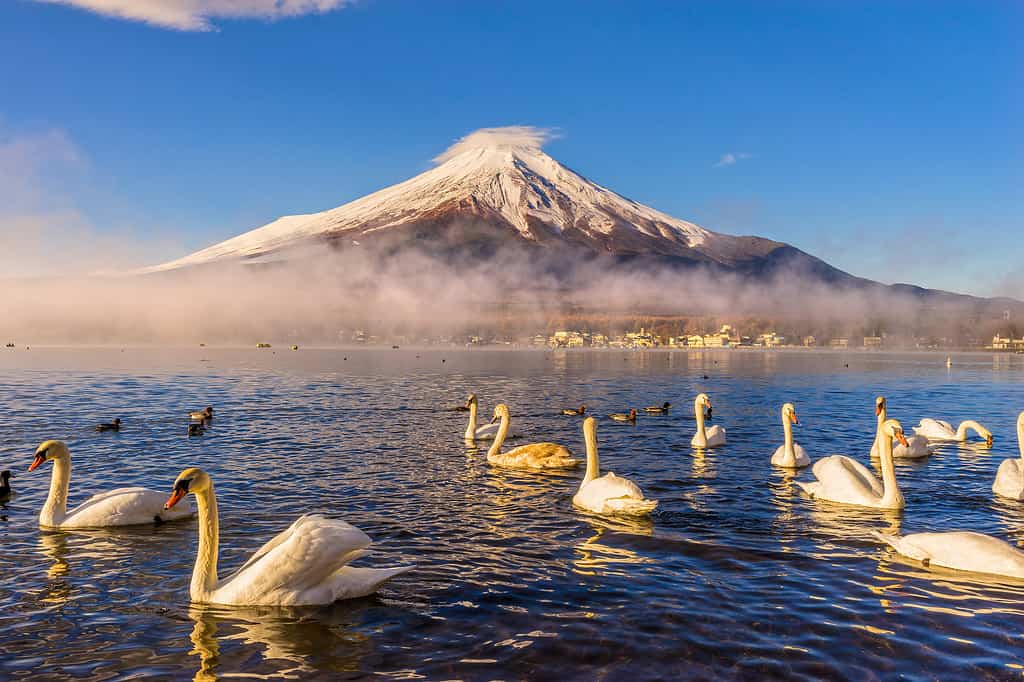 Monte Fuji, Giappone.