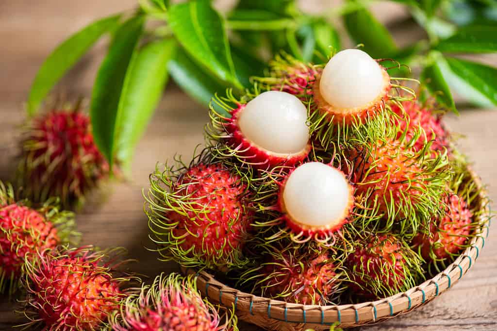 Rambutan fresco e maturo, dolce frutta tropicale sbucciata con foglie, frutta di Rambutan sul cesto e raccolto su fondo in legno dal giardino