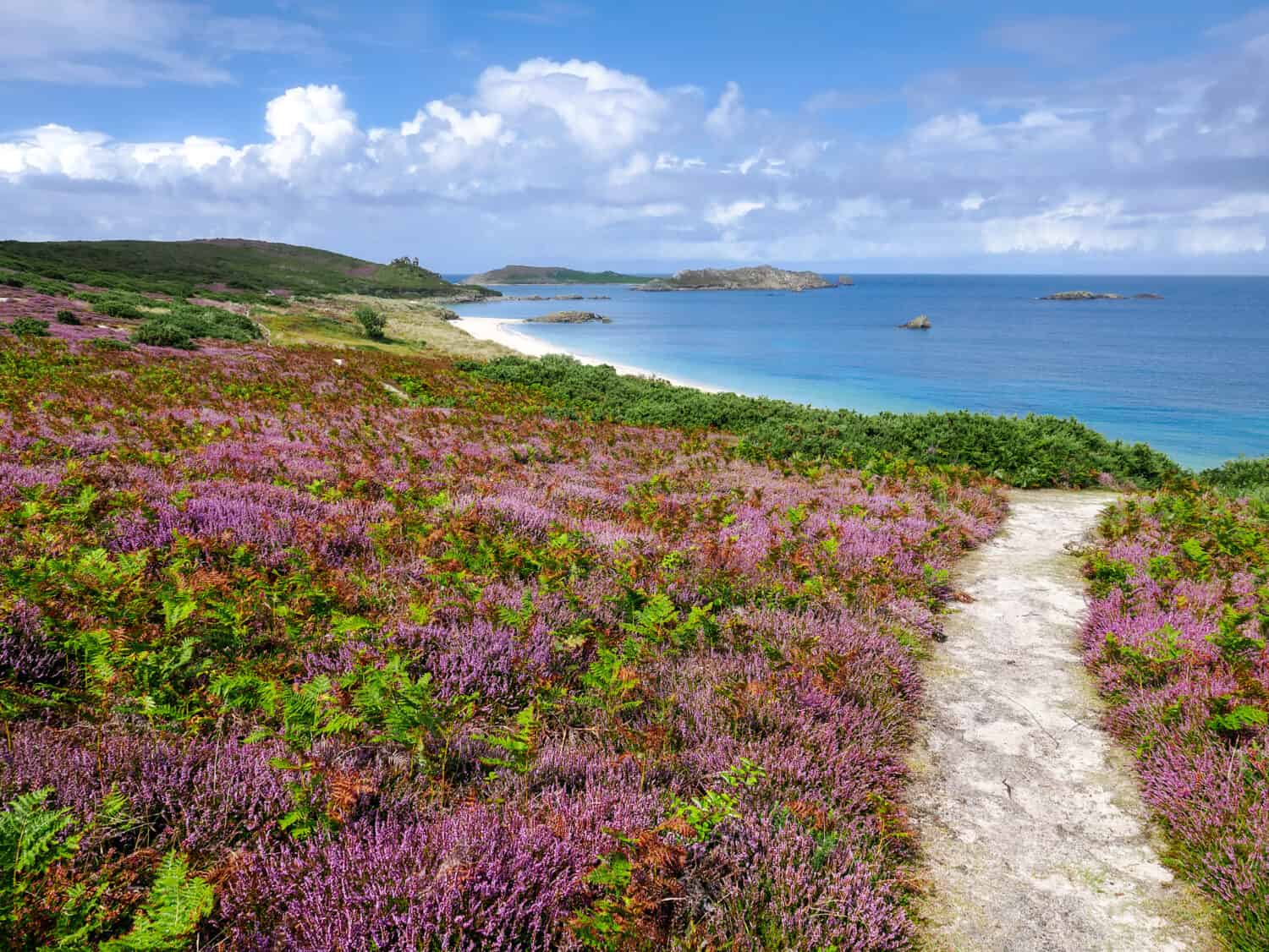 Sentiero panoramico che conduce a Great Bay sull'isola di St Martin, che mostra la bellezza naturale e il fascino costiero delle isole Scilly, in Inghilterra