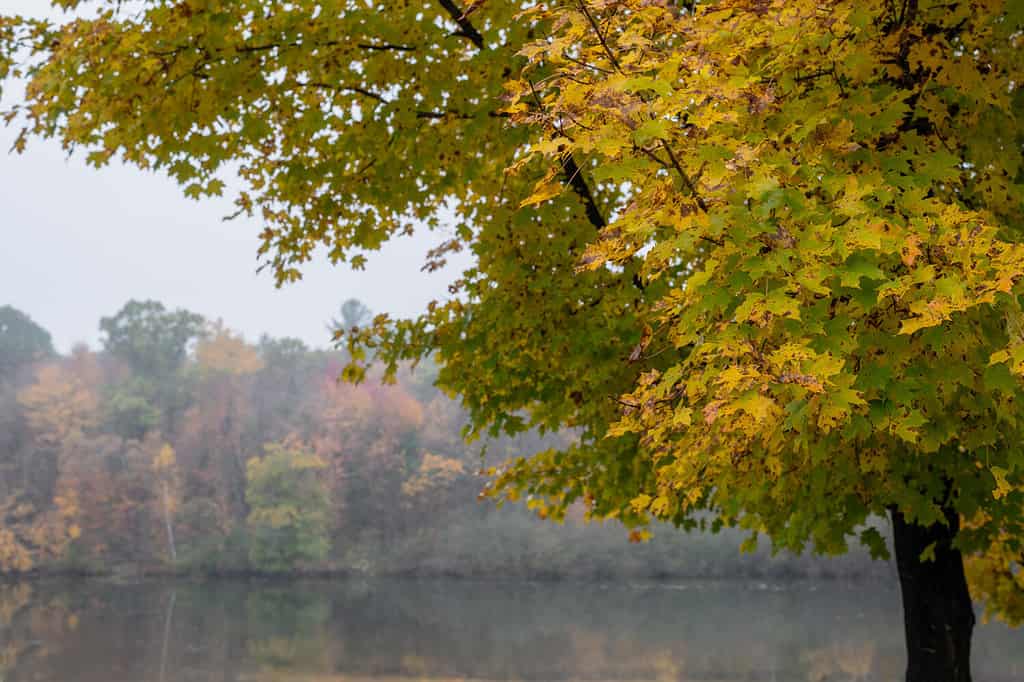 nebbioso paesaggio autunnale su Mirror Lake Wisconsin nel mese di ottobre