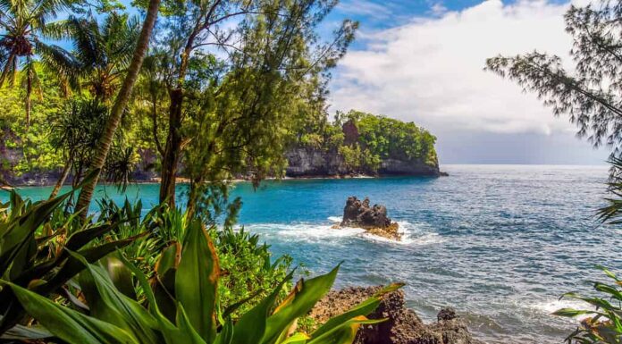 Un'apertura nella foresta pluviale vicino a Hilo, Hawaii, su una spiaggia rocciosa, rivela alte scogliere che si affacciano sul vasto Oceano Pacifico blu.