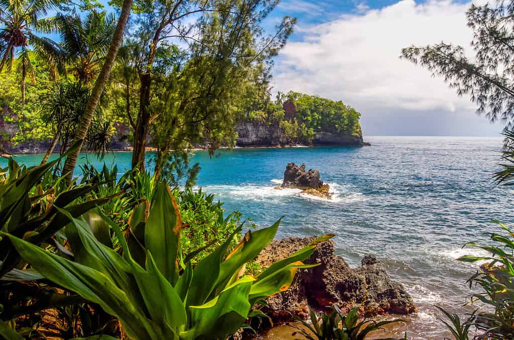 Un'apertura nella foresta pluviale vicino a Hilo, Hawaii, su una spiaggia rocciosa, rivela alte scogliere che si affacciano sul vasto Oceano Pacifico blu.