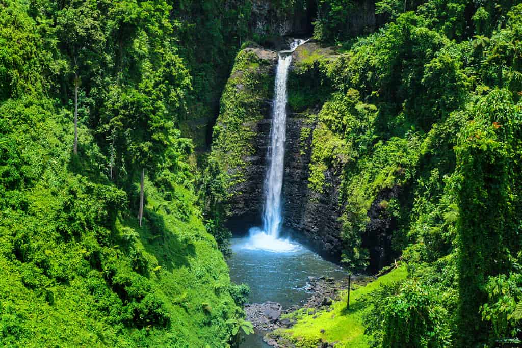 Splendida vista della cascata selvaggia della giungla con acqua incontaminata, cascata tropicale di Sopoaga Samoa da vicino, isola di Upolu, Samoa occidentali, Oceania