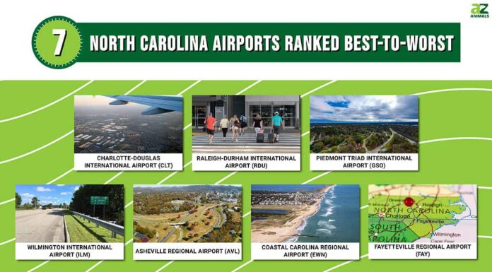 Classifica degli aeroporti della Carolina del Nord: l'elenco definitivo dei posti migliori in cui volare
