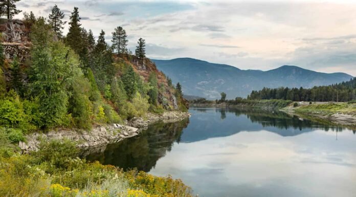 Il tranquillo fiume Kootenay vicino a Bonners Ferry Idaho.