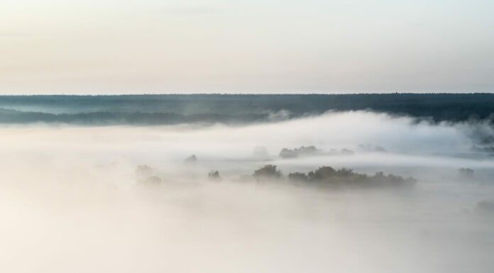 Vista panoramica del campo oscurato da una fitta nebbia